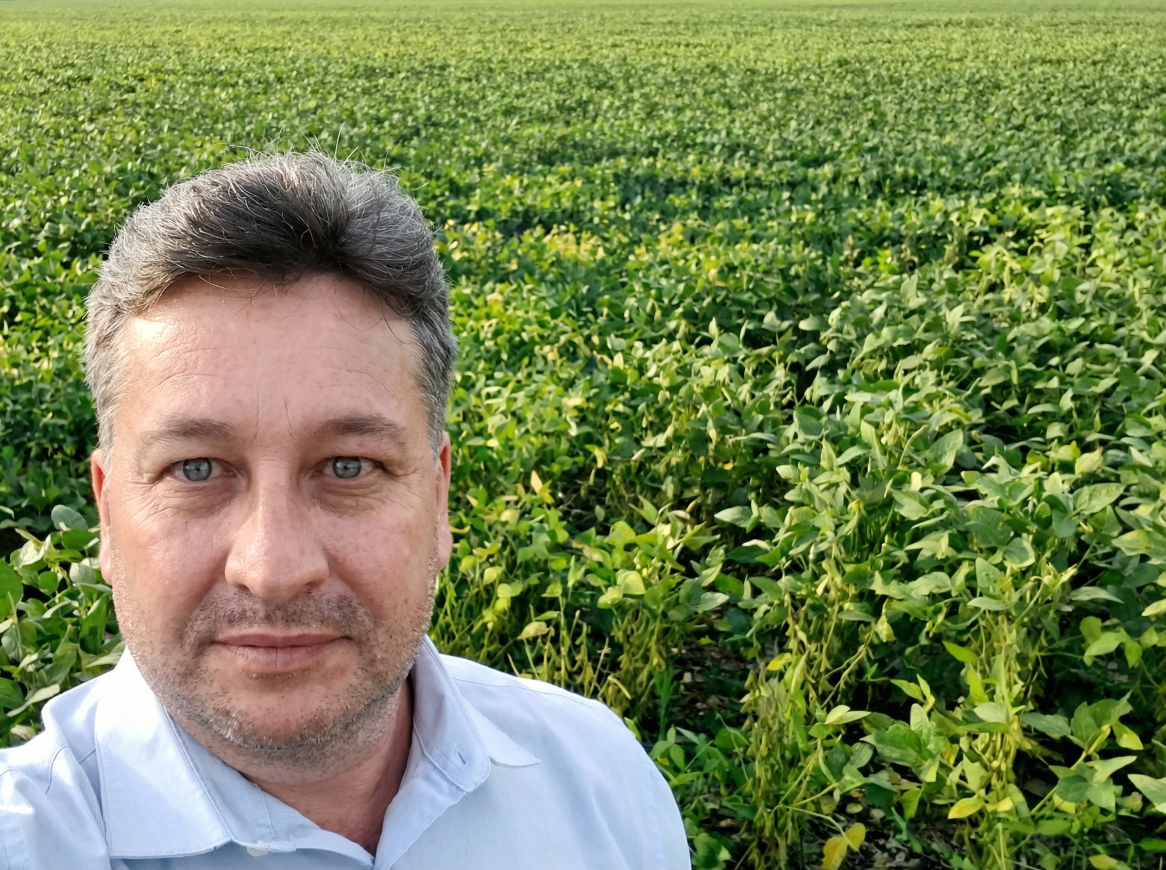 Corretor especializado em fazendas em Flores De Goias